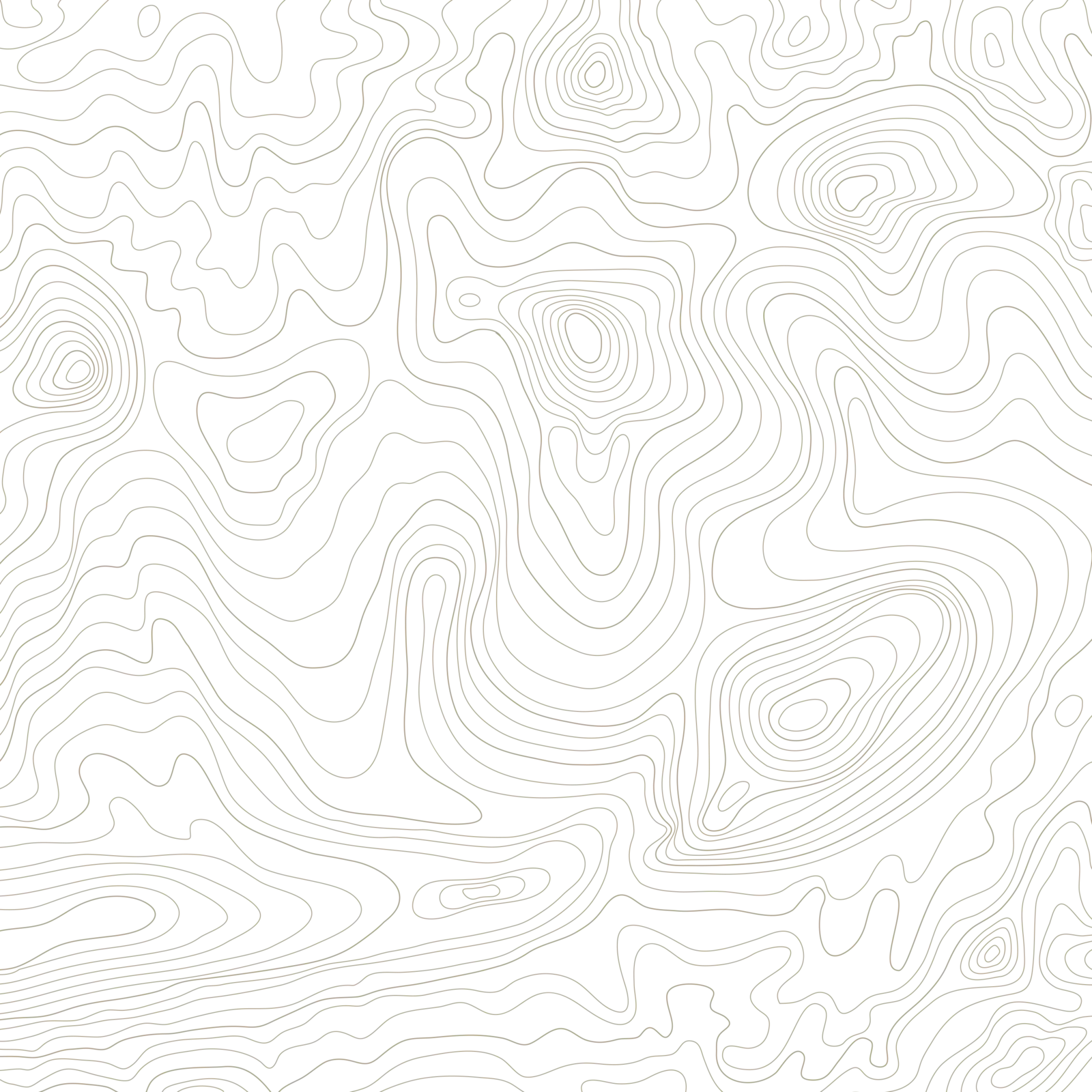 trail texture