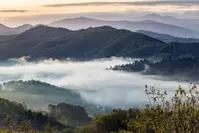 Early-Spring-Smokies-Morning