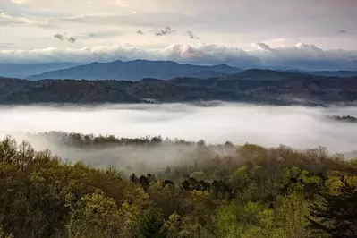 Spring in the Smokies