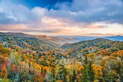 fall foliage in the Smoky Mountains