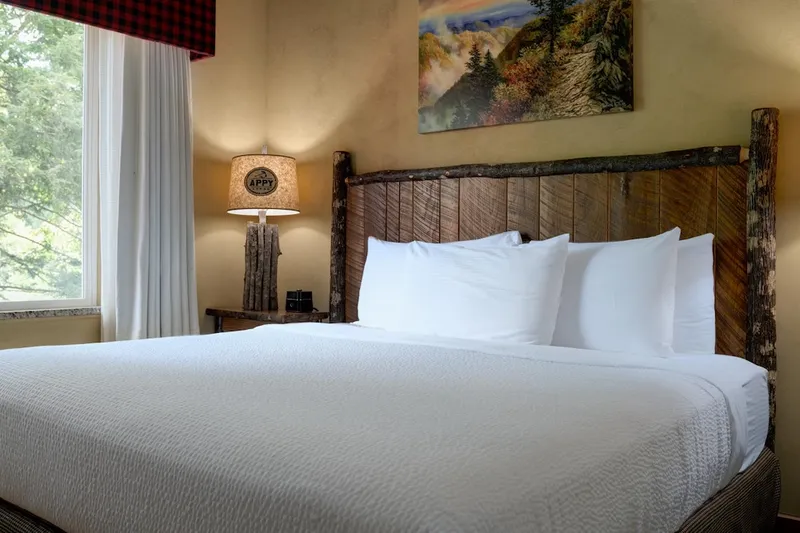 Appy Lodge king suite