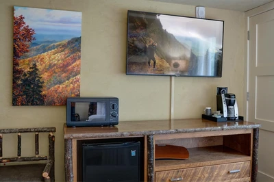 microwave and refrigerator Appy Lodge