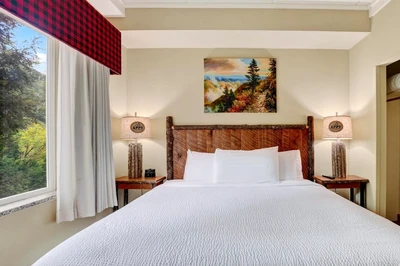 Appy Lodge room artwork