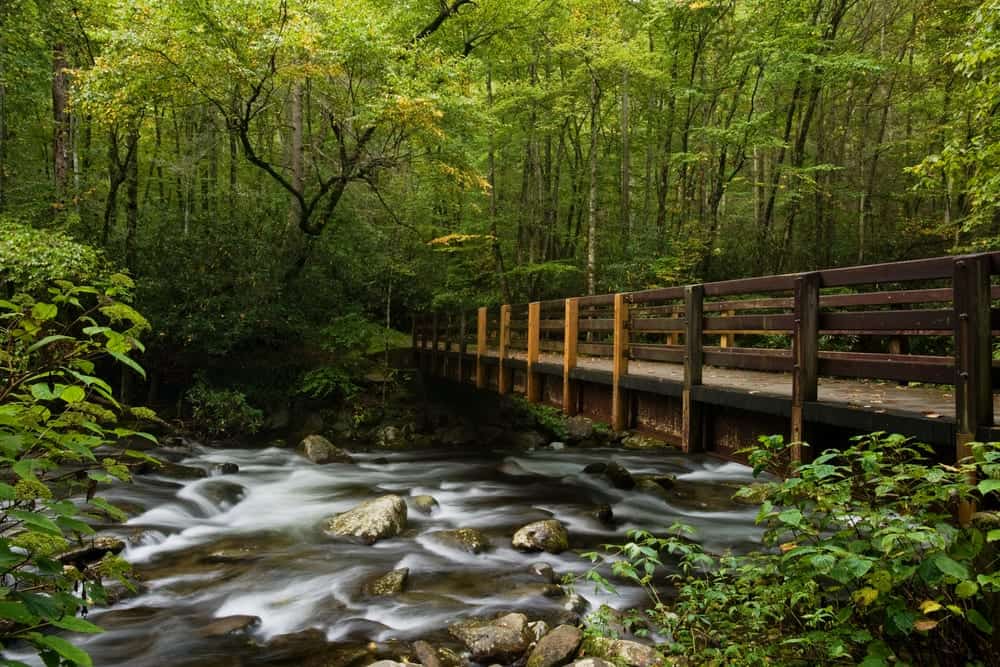 A bridge over a scenic stream in the Great Smoky Mountains National Park.