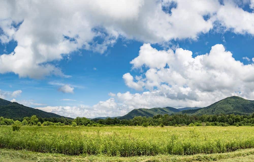 View of Cades Cove on a summer day