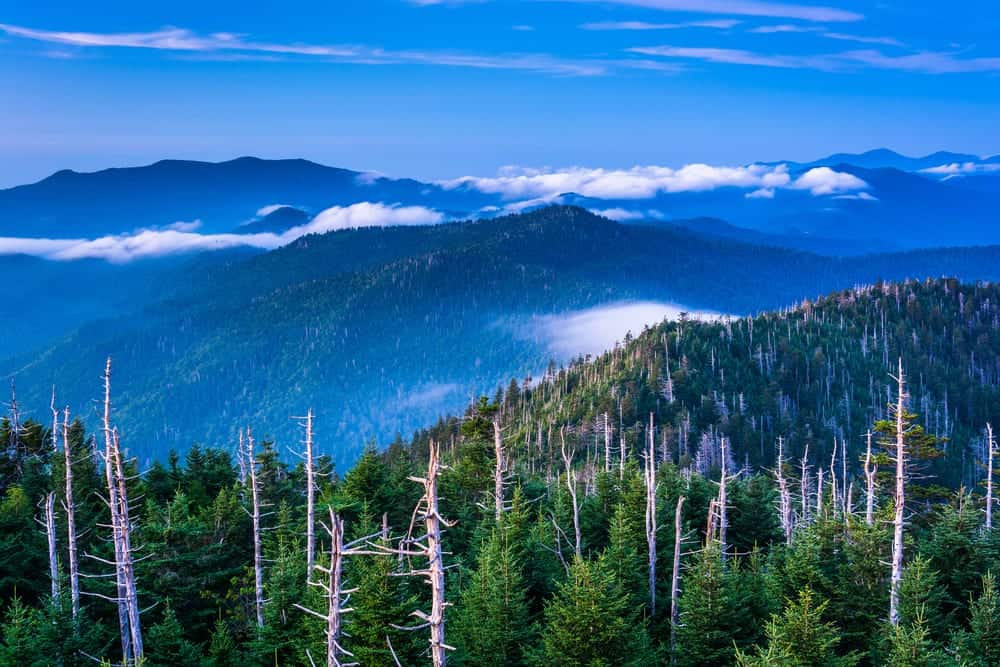 Stunning view of the Smoky Mountains from Clingmans Dome.