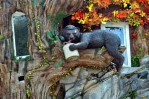 Statue of a bear drinking moonshine at Ripley's Odditorium Gatlinburg.