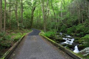 The scenic Roaring Fork Motor Nature Trail in the Smoky Mountains.