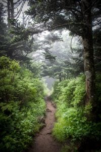 appalachian trail in the smoky mountains