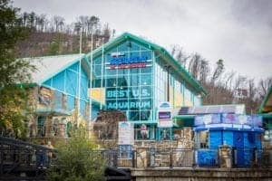 Ripley's Aquarium of the Smokies in Gatlinburg