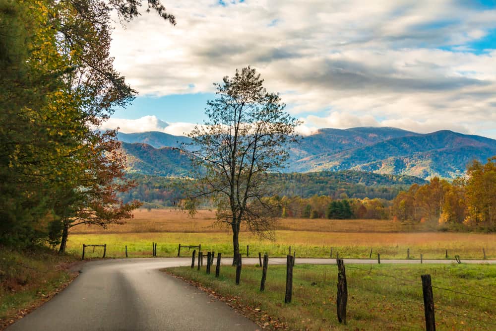 Cades Cove road in the fall