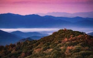 fall foliage in the smoky mountains