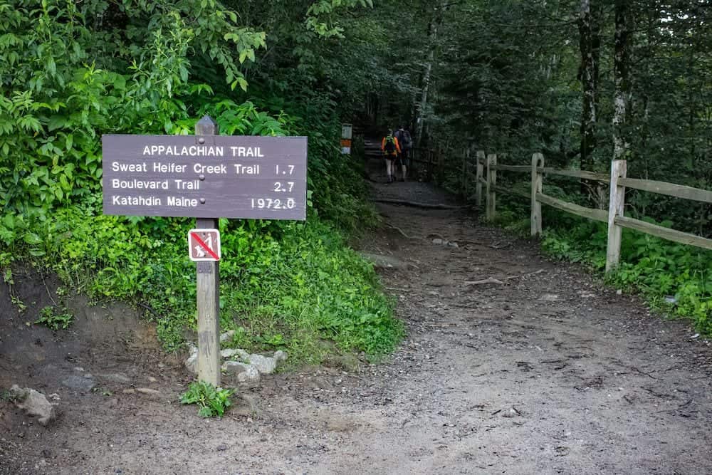 Appalachian Trail in the Smoky Mountains